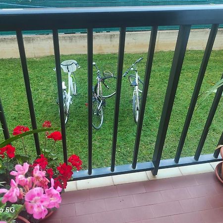 Apartamento Ani Porto SantʼElpidio Exterior foto